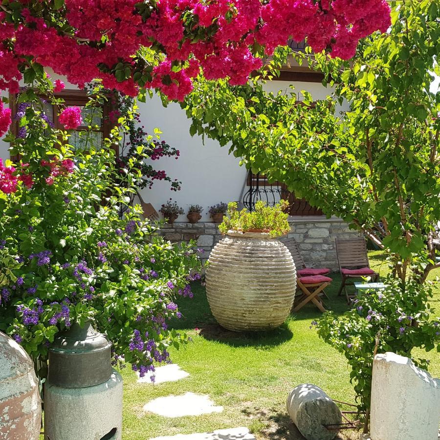 Sezgin Boutique Hotel Κουσάντασι Εξωτερικό φωτογραφία