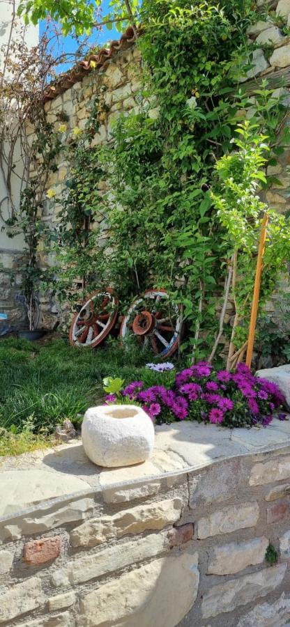 Sezgin Boutique Hotel Κουσάντασι Εξωτερικό φωτογραφία
